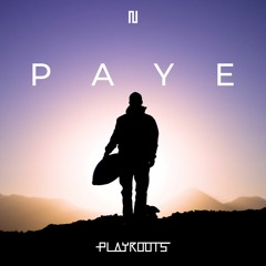 Playroots - PAYE