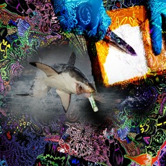 HAIE VOR CALIFORNIEN KÖNNTEN AUF KOKS SEIN 0.5 work in progress trying out new shit