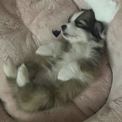 불꽃 (noel ver.) 노엘 미공개곡