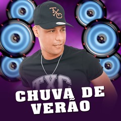 Chuva de Verão