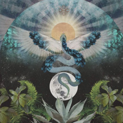 Free your Truth :: Live set By Sélva @ Ecstatic Tlv