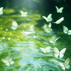 Julia - Tống Á Hiên - Nhận Thua - Trương Chân Nguyên - Nghiêm Hạo Tường