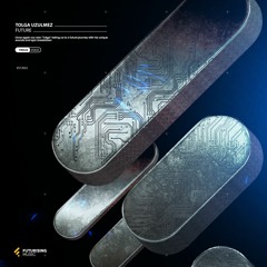 Tolga Uzulmez - Future (Radio Edit)