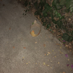 CUPID A DEMON PROD ELEBOIII X ROSEREVENGED