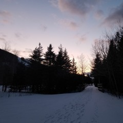 Senses x Oaf1 - Cold (Depressive Suicidal Black Metal Cover)