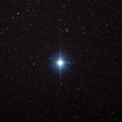 star 🌟(feat.COCO)