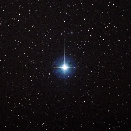star 🌟(feat.COCO)