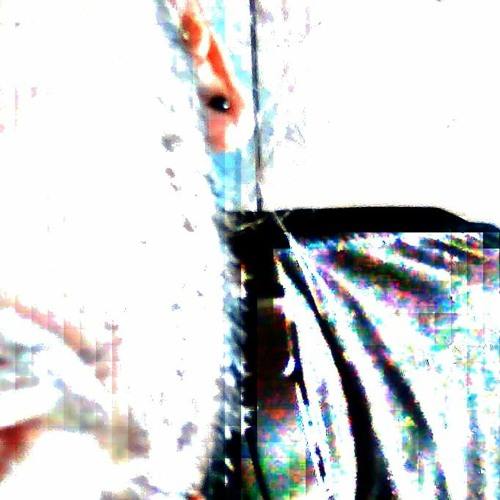 Next Stop Border Invisible