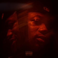 FEATHERS IN THE WIND