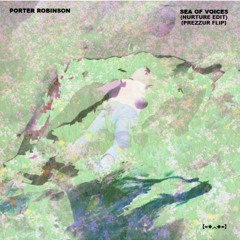 Porter Robinson - Sea Of Voices (Nurture Live Edit) [Prezzur Flip]