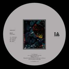 IARLTDS007 - Jauri - El Humo