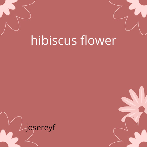 Let's go to the fight