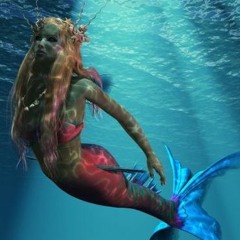 SIREN (Nov20)