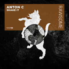 Anton C - Money Talks [RAW138]
