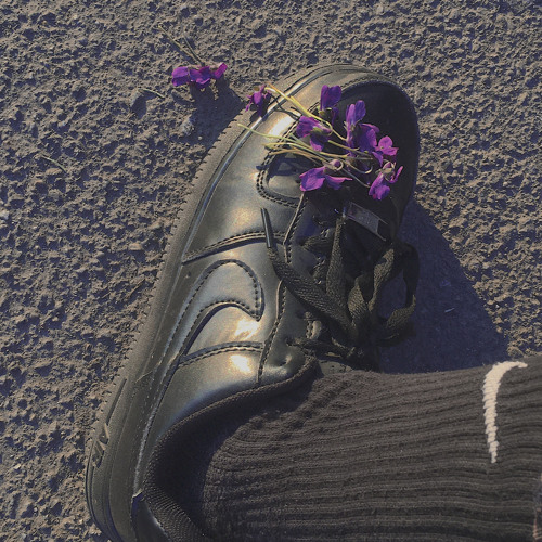 𝚜𝚒𝚗𝚗𝚎𝚛 𝚠/ 𝙸𝙻𝚈𝙱𝚁𝙾𝙻𝙻𝚈