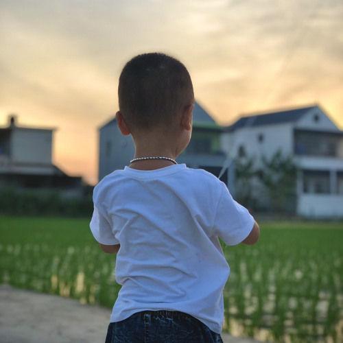 Nhạc Đi Làm