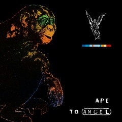 Pitch Black - Ape to Angel Vinyl
