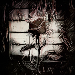 Lies (Elyscia X killacam06)