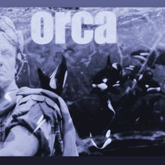 3. Orca.mp3