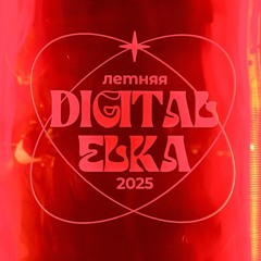 Jazzis - live mix @ Summer Digital Elka 25.08.25