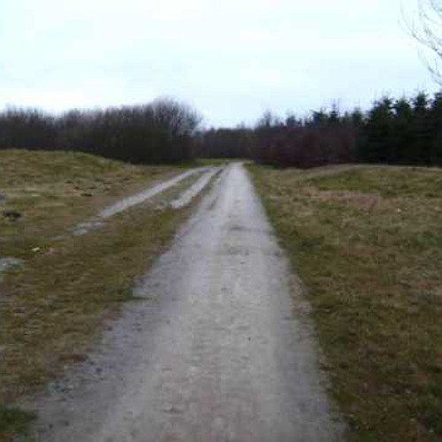 The Pearls - Ik Ben Een Drent En Ik Kom Uit Klazienaveen