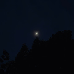 Quartet for 24 (reading)