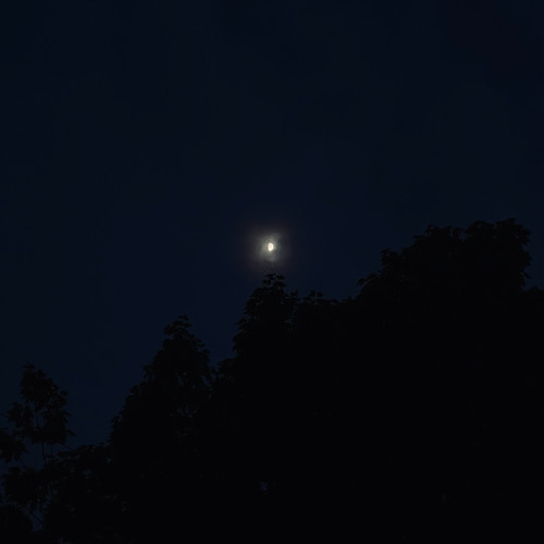 Quartet for 24 (reading)