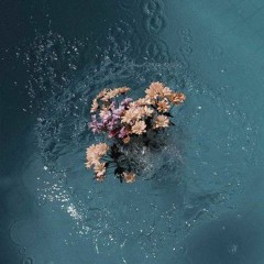 Déjenme llorar (cover)