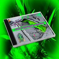 DJ Mantis - Hang Glider Class A (LI$027)