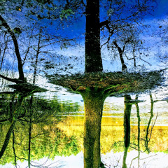 Reflecting on the Future