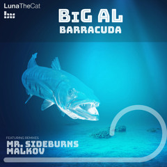 BiG AL - Barracuda (Mr. Sideburns Remix) PREVIEW