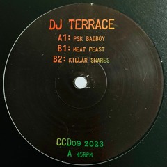 #CCD09 : DJ TERRACE - PSK BADBOY / MEAT FEAST / KILLAR SNARES 12"