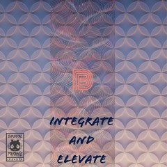 TheBassBoar - Integrate And Elevate