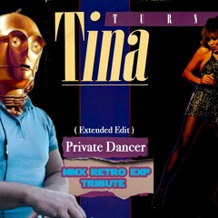 Tina Turner - Private Dancer ( MMx RETRO EXP Tribute Extended Edit )