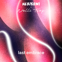 Last Embrace (Original Mix)