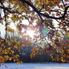 July Again (First Voice Note Recording)