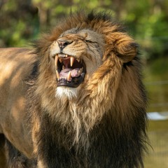 A Earthly Father Of Strength