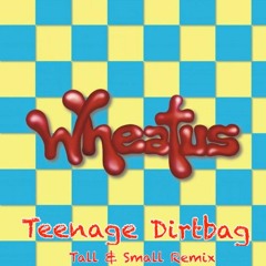 Teenage Dirtbag (Tall & Small Remix)