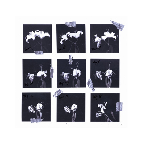 Non-cellular life (Original mix)