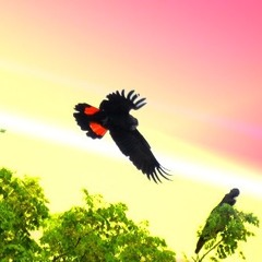 Spirit Winds mix part2