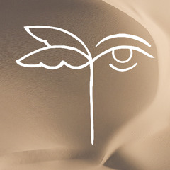 Opening Set  –  12/13/24  –  TDJ, Gabriel & Dresden, Zorza, and No_4mat