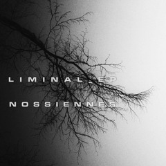01 Nossiennes - Triangulum