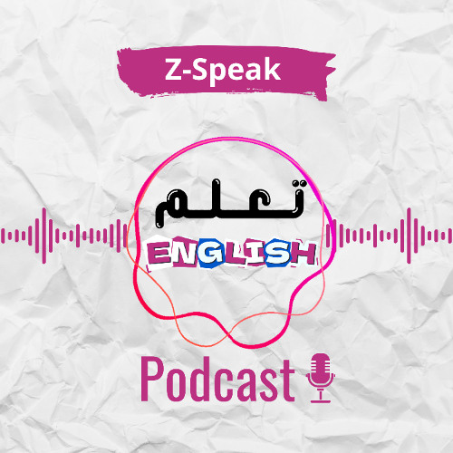 Learn English Course Episode 5  These & Those & Determiners, Pronouns with Z-Speak 🎙