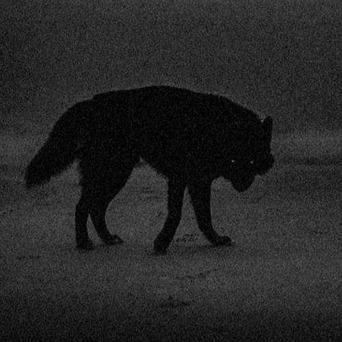 ENTRADA - ultra slowed