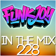 funkjoy - In The Mix 228