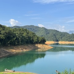 惟信而已