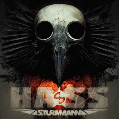 Sturmmann - Hass