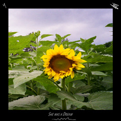 She Was A Dream  (Prod. Grayskies)