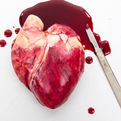 Heart Full Of Reason