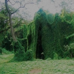 the world is burning (prod.bayergartner)